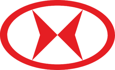 Logo Shineray